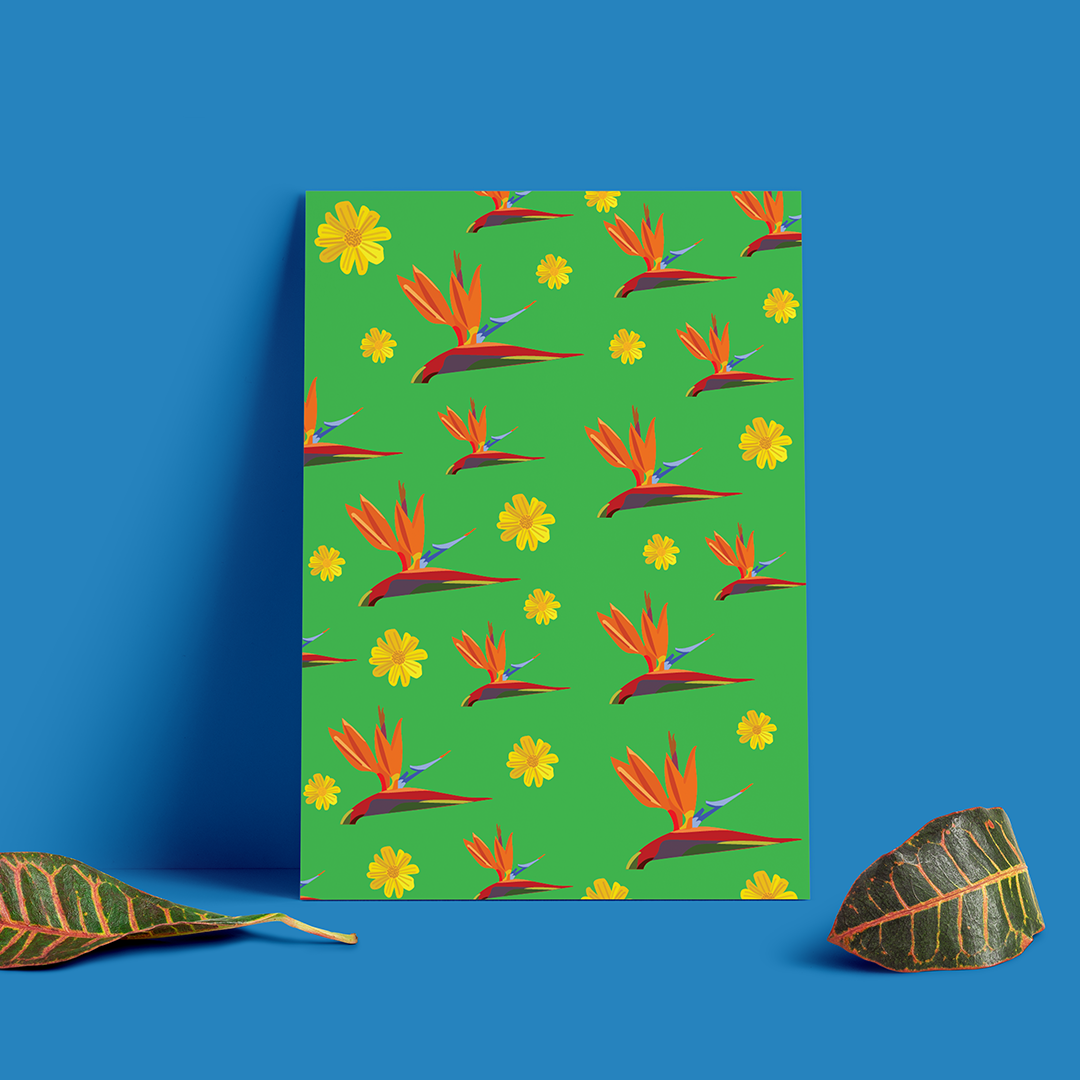 Póster Ilustrado Flores Tropicales: Arte Botánico de Venezuela