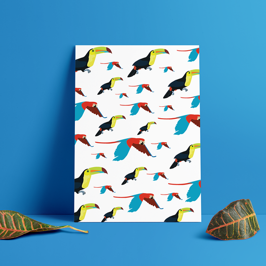 Póster de Guacamayas y Tucanes Fondo Blanco| Lámina Decorativa en Papel Glasé